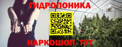 гидропоника Партизанск
