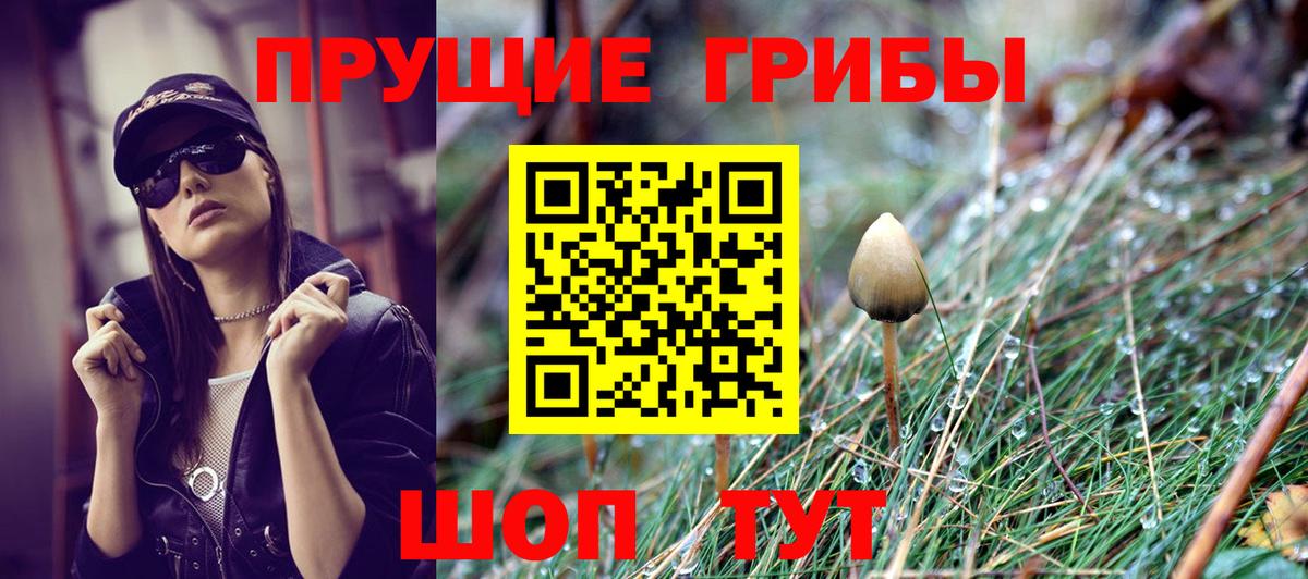 Псилоцибиновые грибы ЛСД  Псилоцибиновые грибы мицелий  Ростов-на-Дону  Вход с VPN 